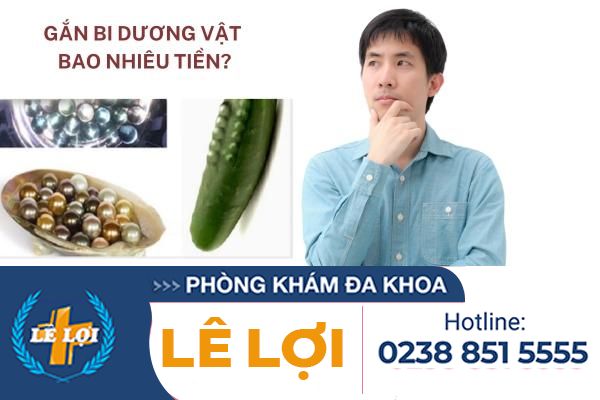 Chi-phi-gan-bi-duong-vat